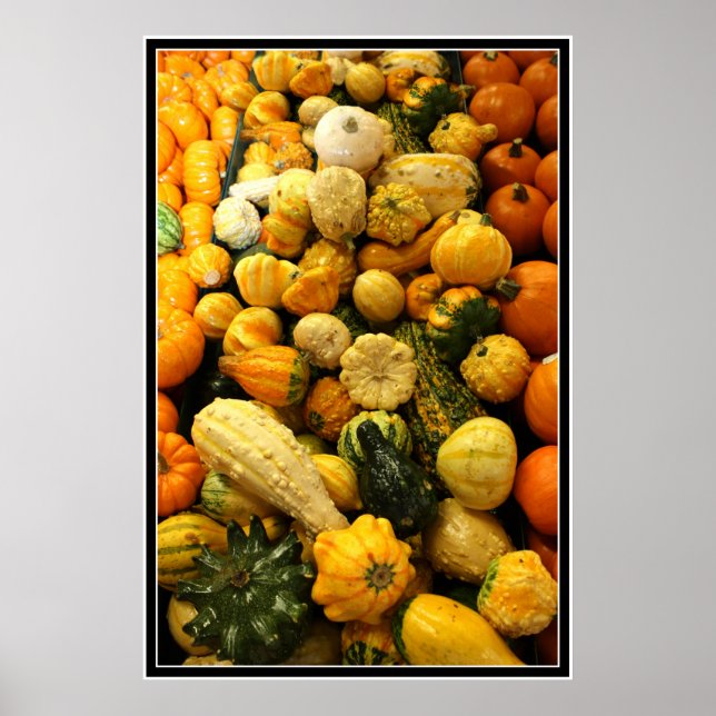 Fall Gourds Poster (Front)