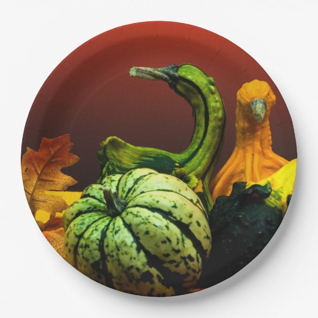 Fall Gourds Rustic Autumn Wedding Colors Paper Plates (Front)