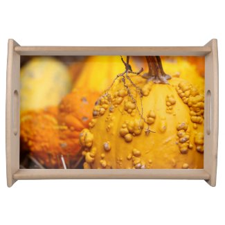 Fall Gourds Serving Trays