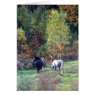 Fall grazing - Pine Ridge Farm Percherons Cards