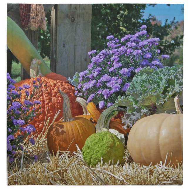 Fall Harvest Cloth Napkin (Front)