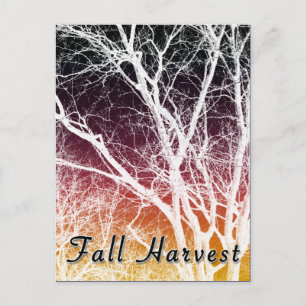 fall harvest : ghost tree postcard