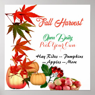Fall Harvest Pick Your Own Pumpkin Patch Farmhouse Poster