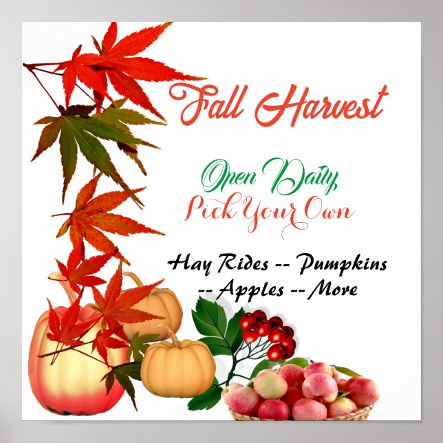 Fall Harvest Pick Your Own Pumpkin Patch Farmhouse Poster (Front)