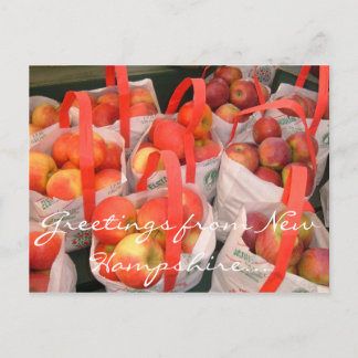 Fall Harvest Postcard