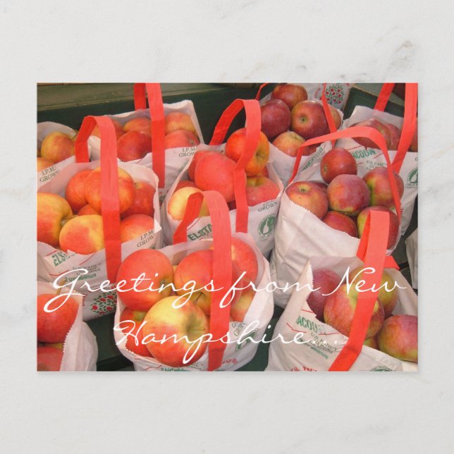 Fall Harvest Postcard (Front)