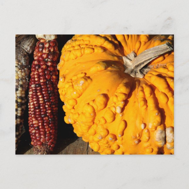 Fall Harvest Postcard (Front)