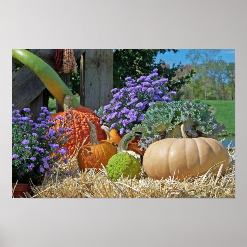Fall Harvest Poster