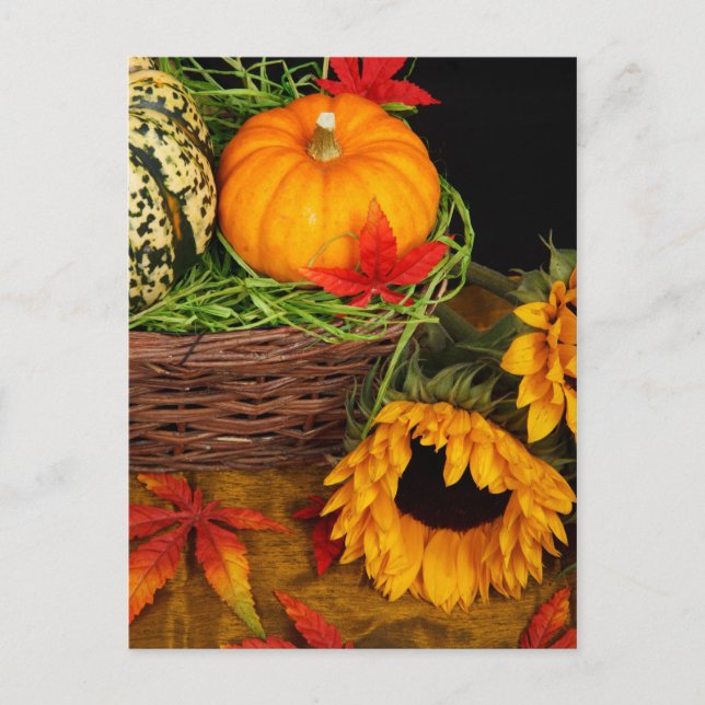 Fall Harvest Sunflowers Postcard (Front)