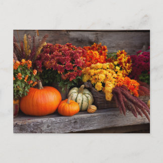 Fall Harvest Tablescape - Autumn Pumpkins Flowers Postcard