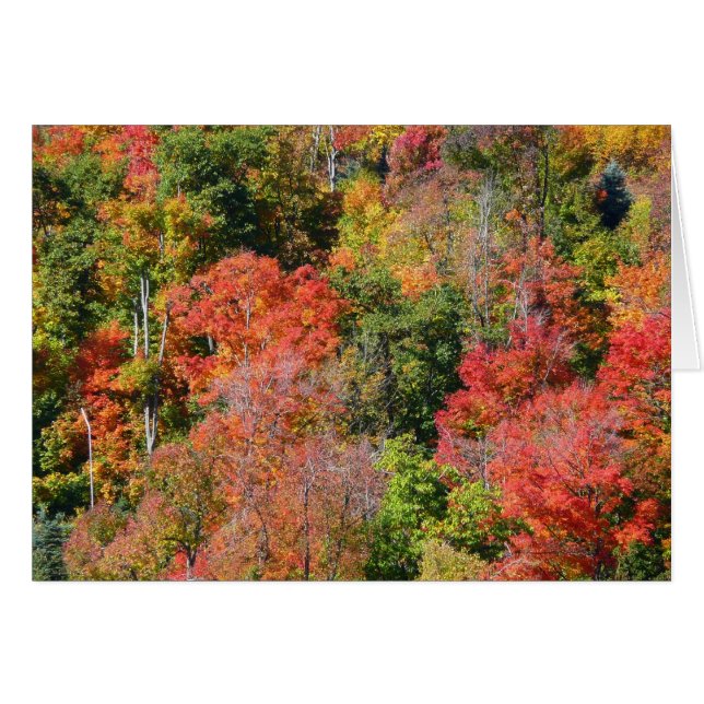 Fall Hillside Colorful Autumn Nature Photography (Front Horizontal)