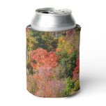 Fall Hillside Colorful Autumn Nature Photography Can Cooler