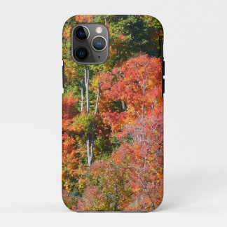 Fall Hillside Colorful Autumn Nature Photography iPhone 11 Pro Case