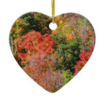 Fall Hillside Colorful Autumn Nature Photography Ceramic Ornament