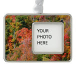 Fall Hillside Colorful Autumn Nature Photography Christmas Ornament