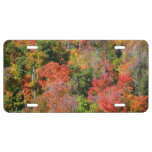 Fall Hillside Colorful Autumn Nature Photography License Plate