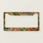 Fall Hillside Colorful Autumn Nature Photography License Plate Frame
