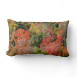 Fall Hillside Colorful Autumn Nature Photography Lumbar Pillow