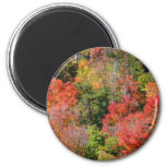 Fall Hillside Colorful Autumn Nature Photography Magnet