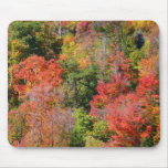 Fall Hillside Colorful Autumn Nature Photography Mouse Pad