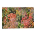 Fall Hillside Colorful Autumn Nature Photography Placemat