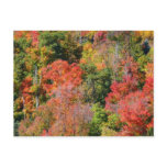 Fall Hillside Colorful Autumn Nature Photography Postcard