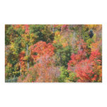 Fall Hillside Colorful Autumn Nature Photography Rectangular Sticker