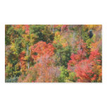 Fall Hillside Colorful Autumn Nature Photography Rectangular Sticker