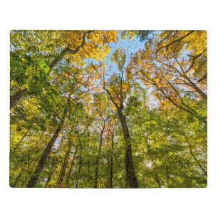 Fall in a Forest in Amesbury, Massachusetts Jigsaw Puzzle