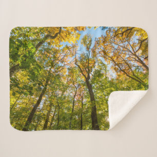 Fall in a Forest in Amesbury, Massachusetts Sherpa Blanket
