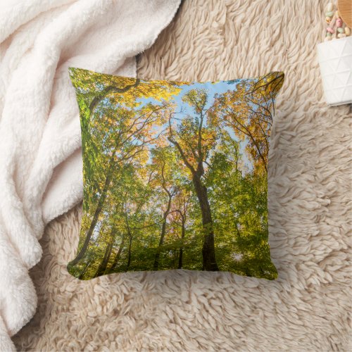 Fall in a Forest in Amesbury Massachusetts Throw Pillow