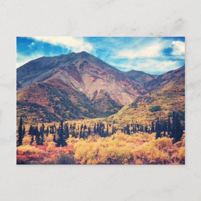 Fall in Alaska Postcard (Front)