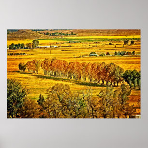 Fall In Carson Valley Poster