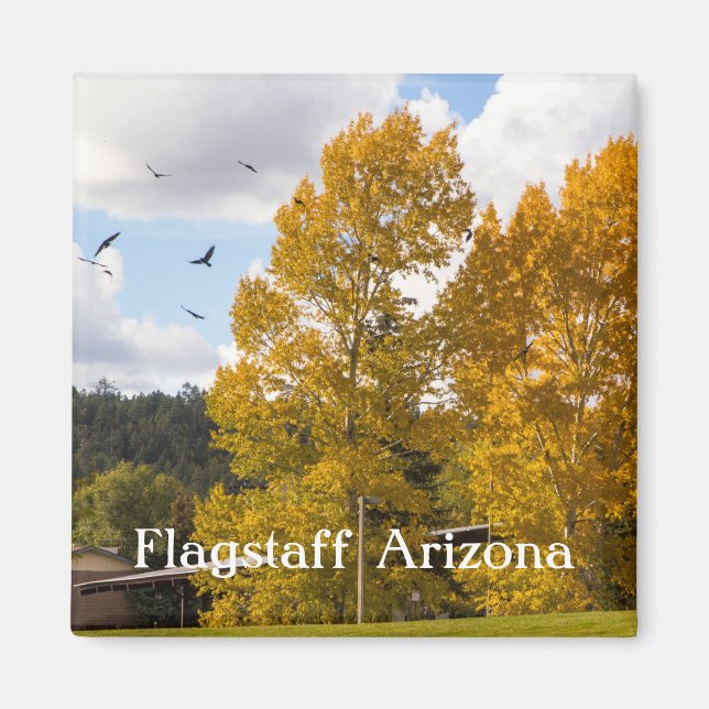 Fall in Flagstaff Arizona Magnet (Front)