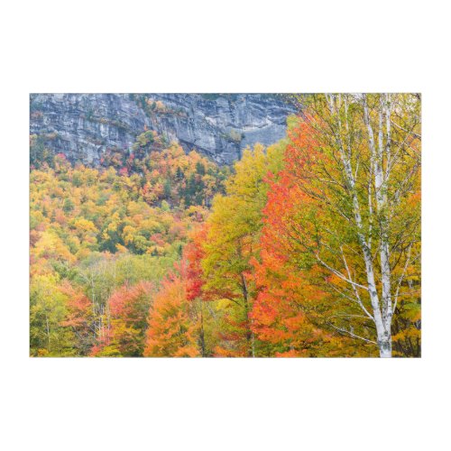 Fall in Grafton Notch State Park Maine Acrylic Print