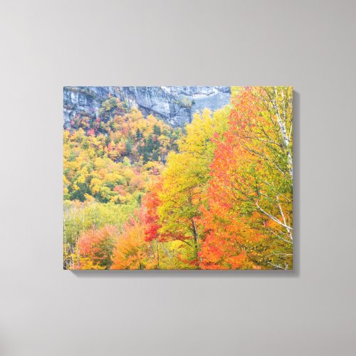 Fall in Grafton Notch State Park Maine Canvas Print