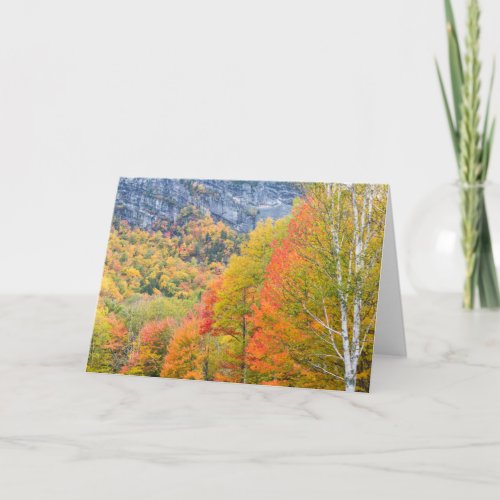 Fall in Grafton Notch State Park Maine Card