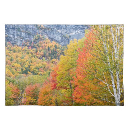Fall in Grafton Notch State Park Maine Cloth Placemat