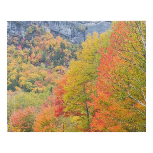 Fall in Grafton Notch State Park Maine Faux Canvas Print