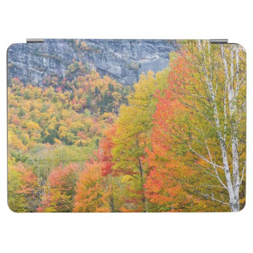 Fall in Grafton Notch State Park Maine iPad Air Cover