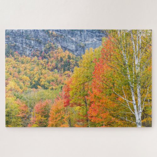 Fall in Grafton Notch State Park Maine Jigsaw Puzzle