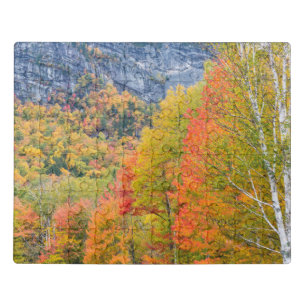 Fall in Grafton Notch State Park, Maine Jigsaw Puzzle