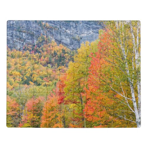Fall in Grafton Notch State Park Maine Jigsaw Puzzle