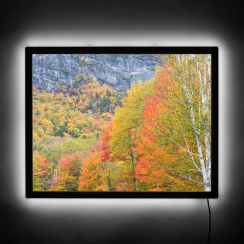Fall in Grafton Notch State Park Maine LED Sign