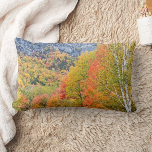 Fall in Grafton Notch State Park Maine Lumbar Pillow