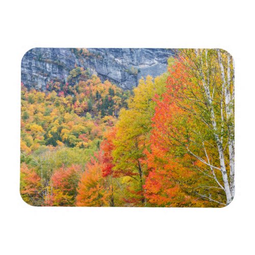 Fall in Grafton Notch State Park Maine Magnet