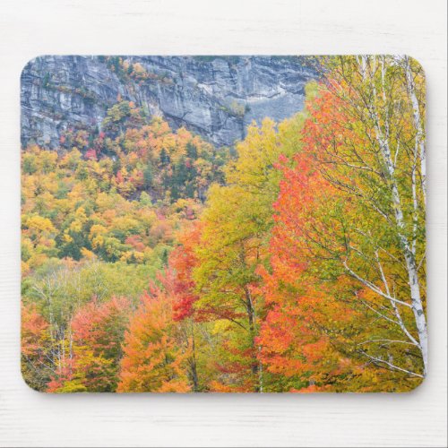 Fall in Grafton Notch State Park Maine Mouse Pad