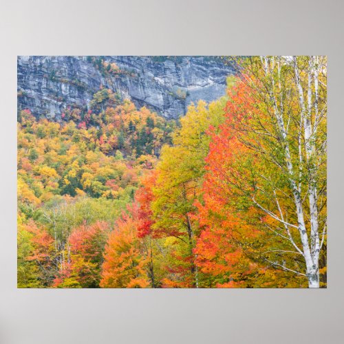 Fall in Grafton Notch State Park Maine Poster