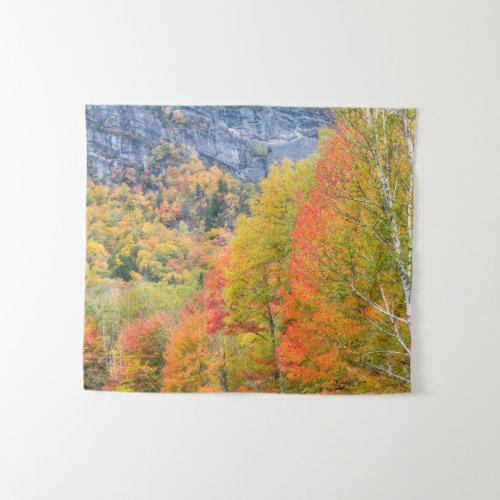 Fall in Grafton Notch State Park Maine Tapestry