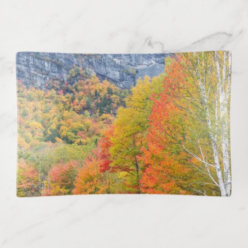 Fall in Grafton Notch State Park Maine Trinket Tray